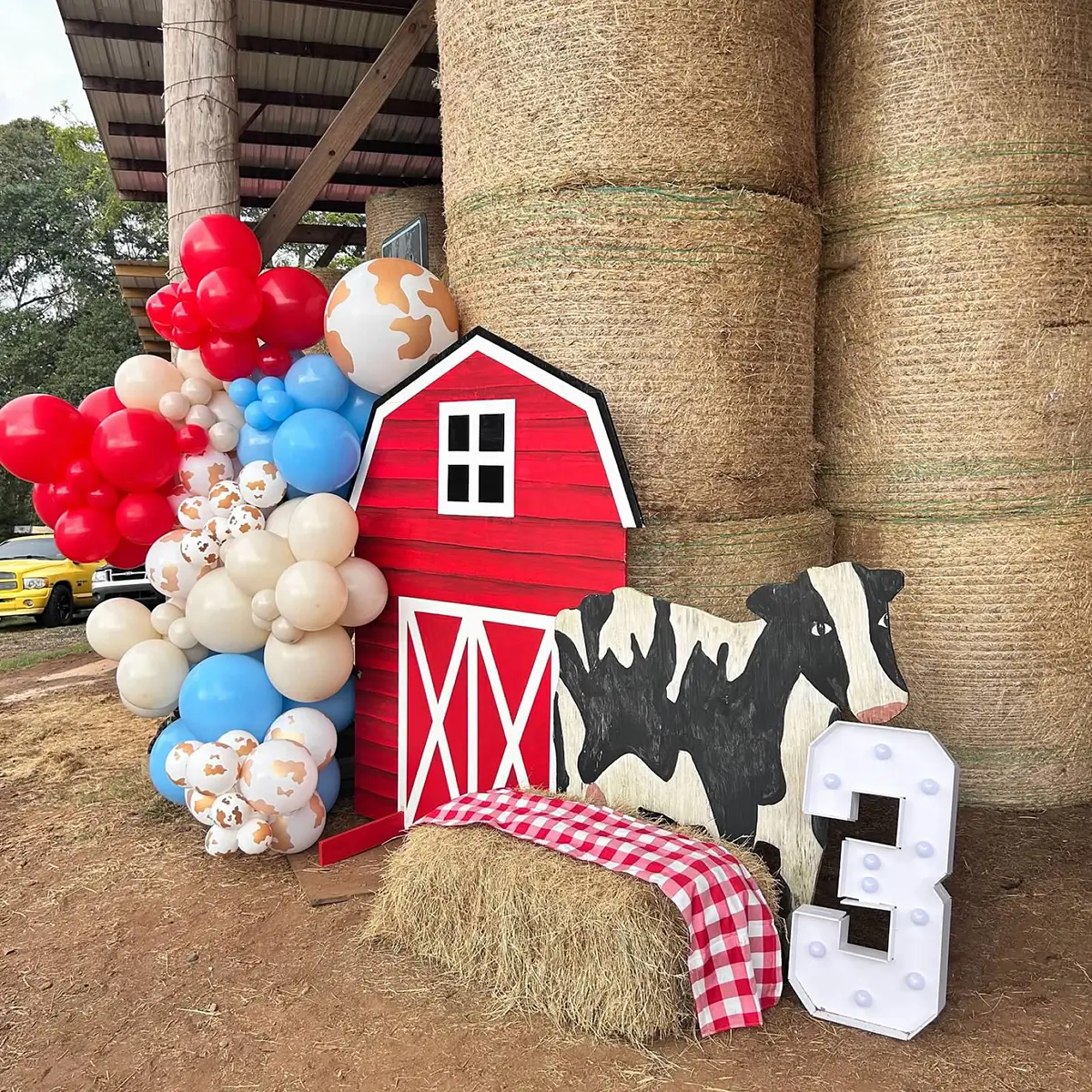 Farm Birthday Parties in Cumming Georgia