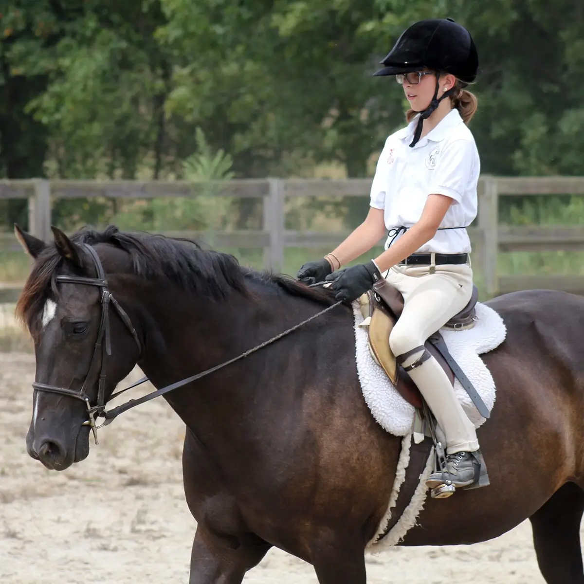 Horse riding lessons at WildeWood Farm in Cumming Georgia