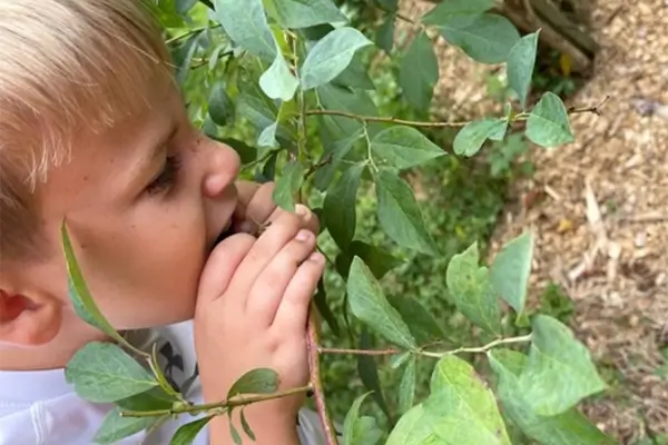 Hybrid Camps at WildeWood Farm in Cumming GA