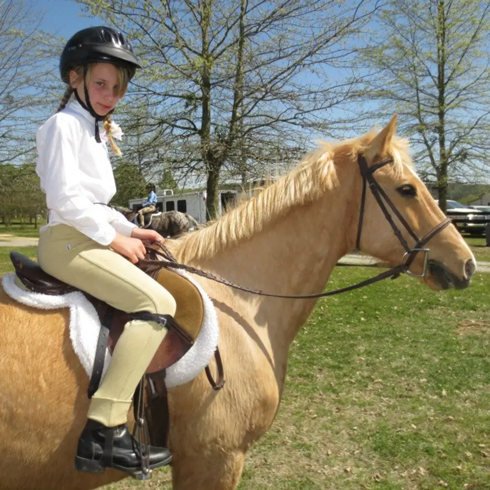 Horseback riding lessons in Cumming GA