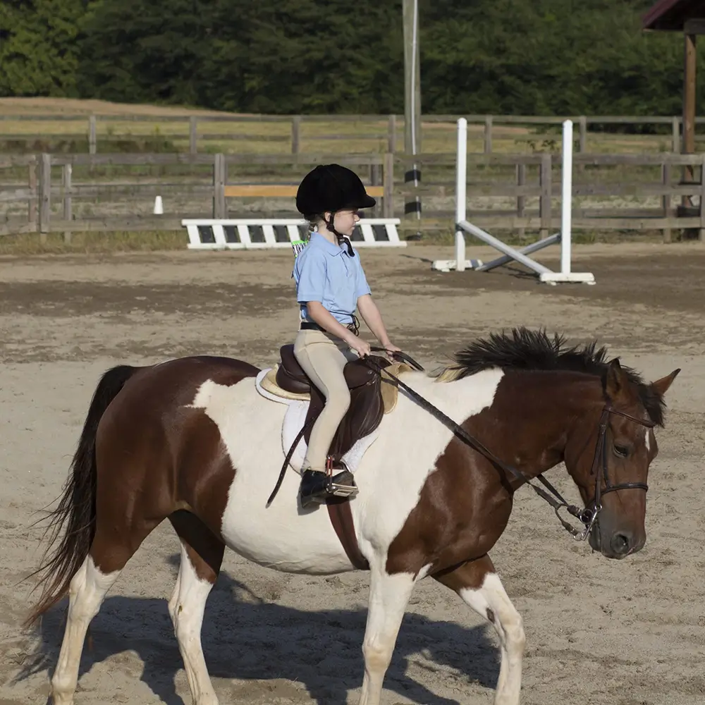 Riding Lessons at WildeWood Farm in Cumming GA