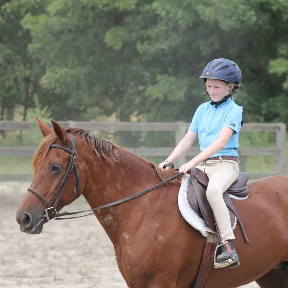 Horse Riding Lessons in Cumming GA