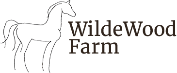 WildeWood Farm - Equestrian Experiences in Cumming Georgia