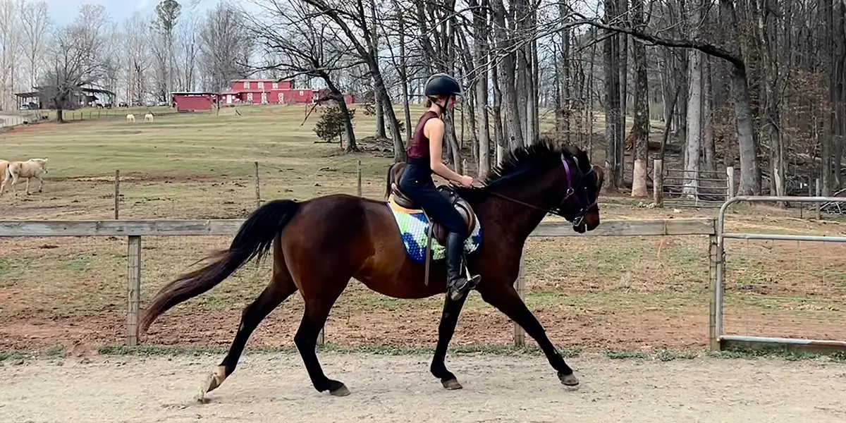 Why We Wait Before Starting Very Young Riders in Lessons