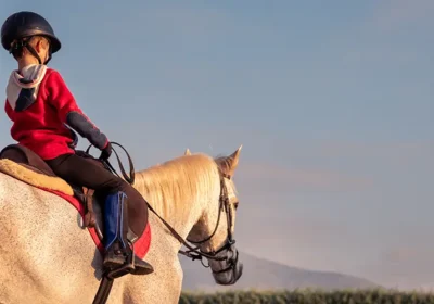 Make Them Carry Their Saddle