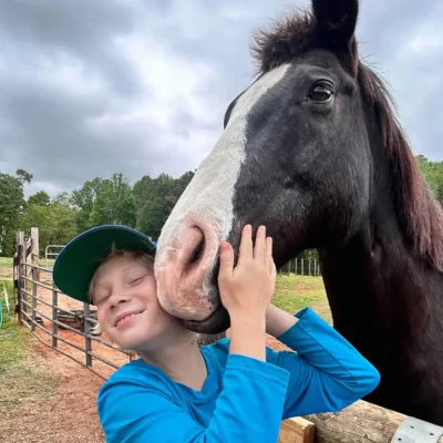 Friendly horse at WildeWood Farm