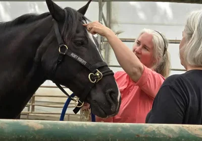 Who Is Monty Roberts — and Why His Work Shapes What We Do at WildeWood Farm