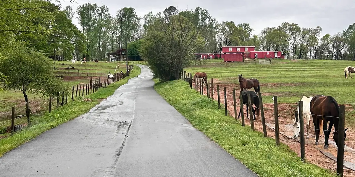 WildeWood Farm - Workhorse Leadership Retreat