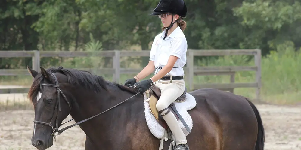 Learning the mechanics of riding at WildeWood Farm